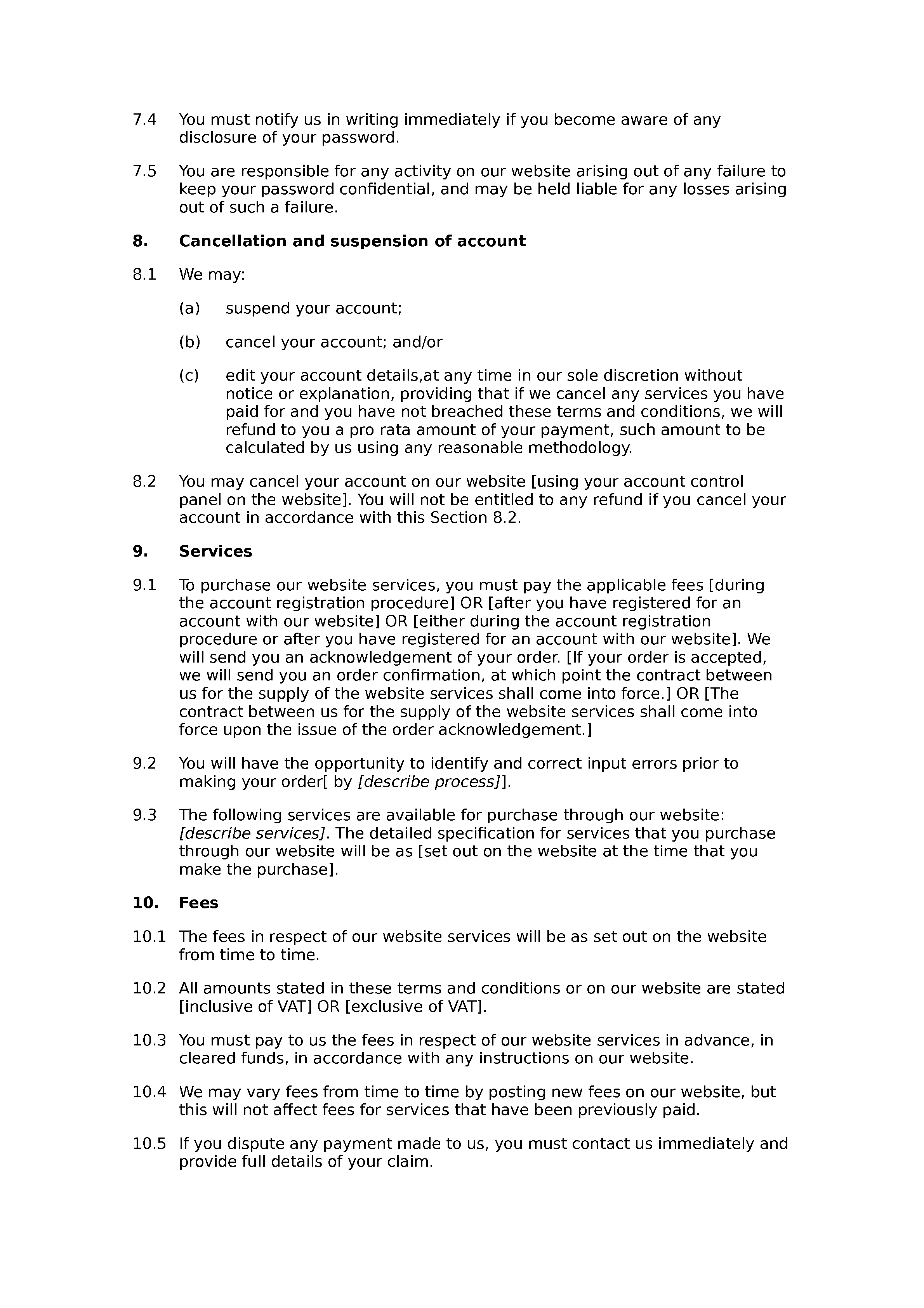 PAYG services website terms and conditions document preview