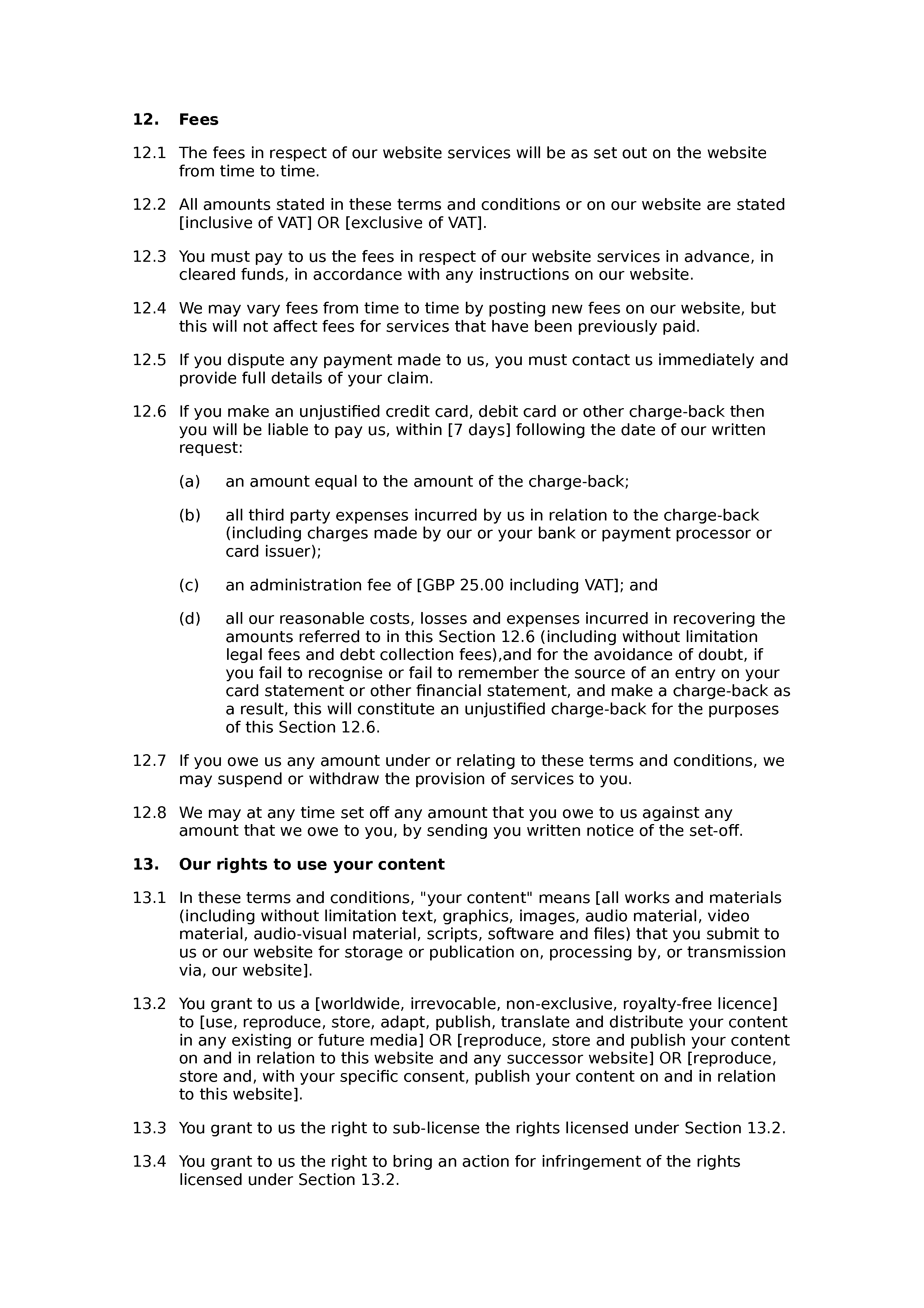 Recruitment website terms and conditions document preview