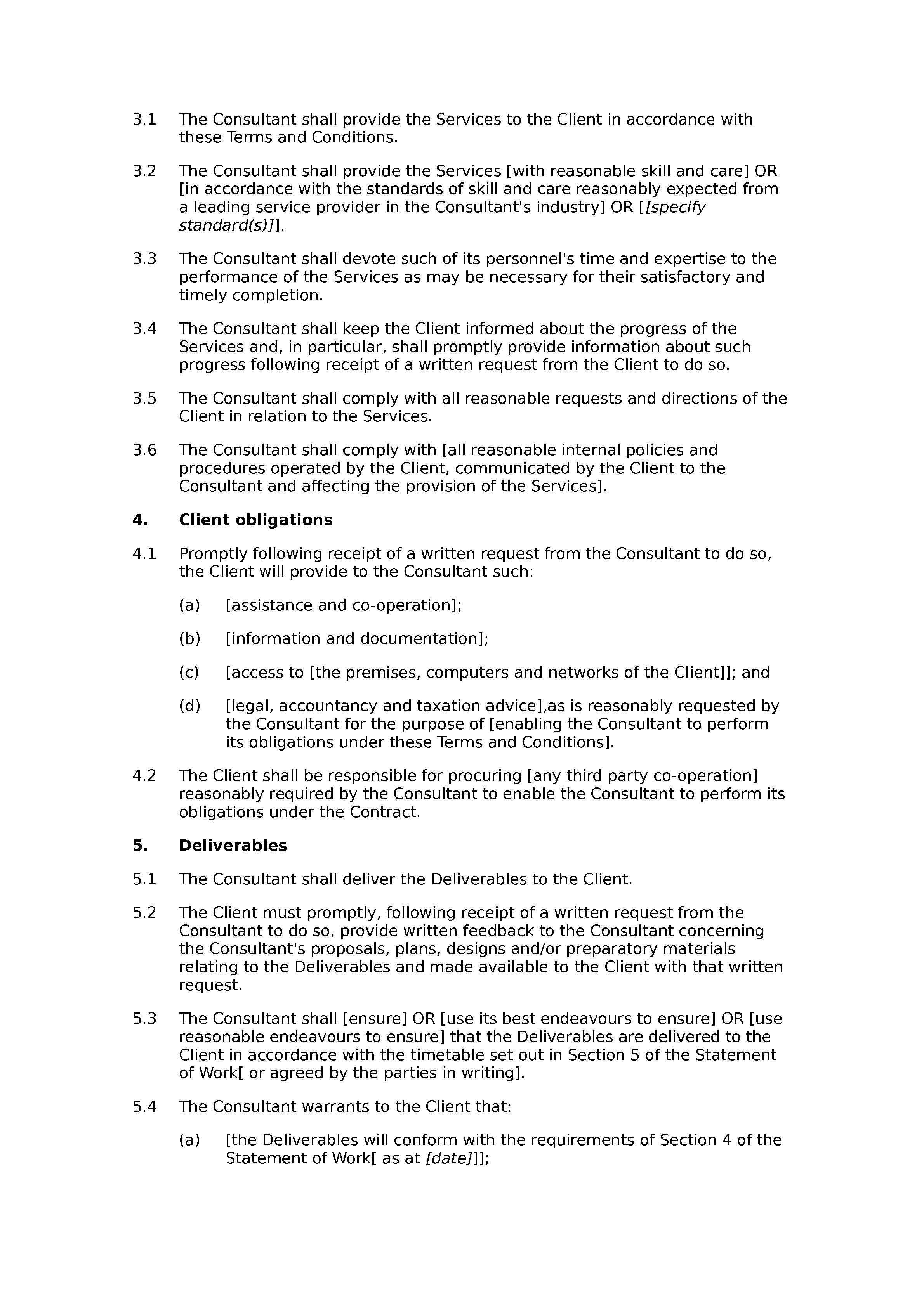 Consultancy terms and conditions (premium) document preview