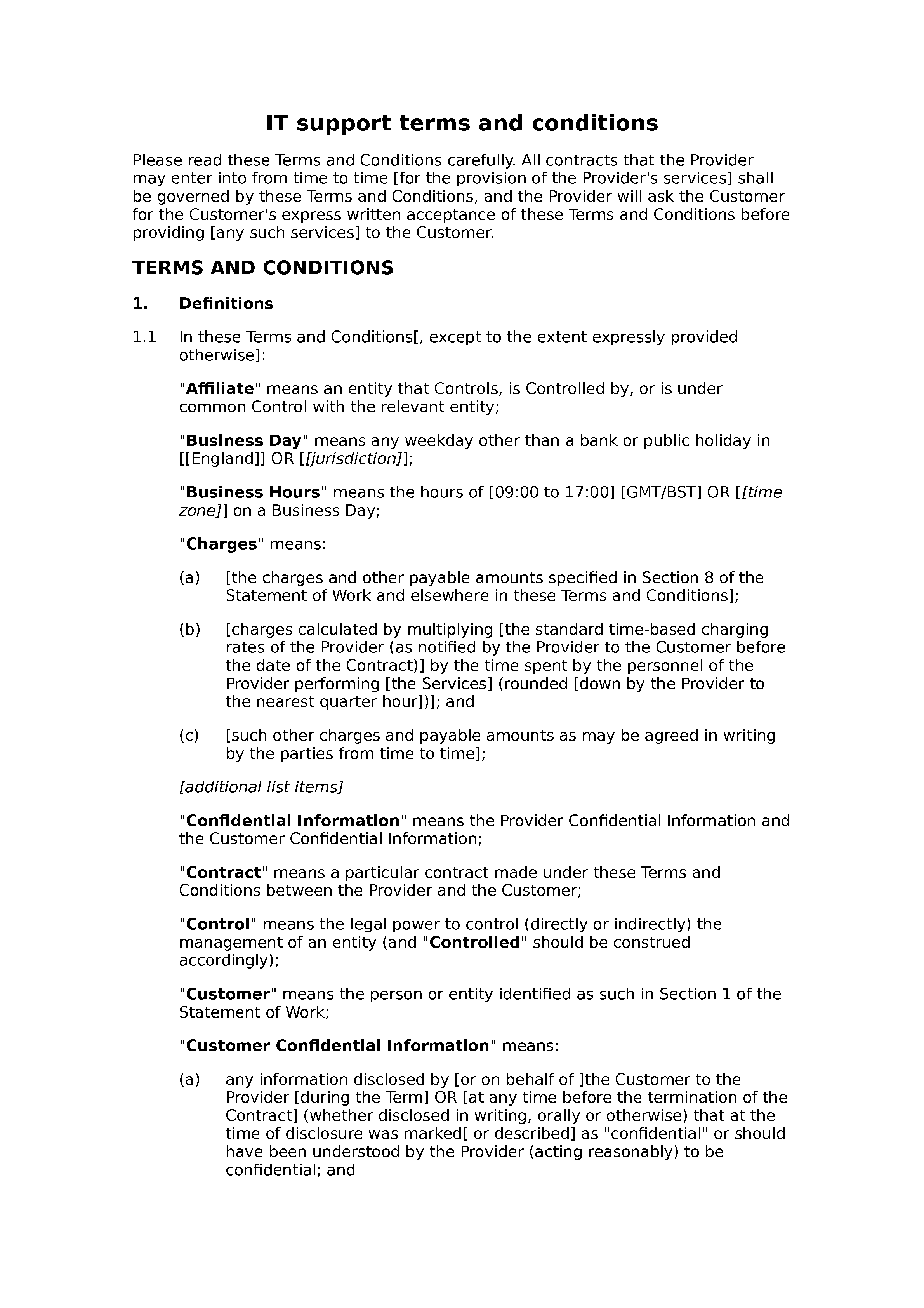 IT support terms and conditions (premium) document preview