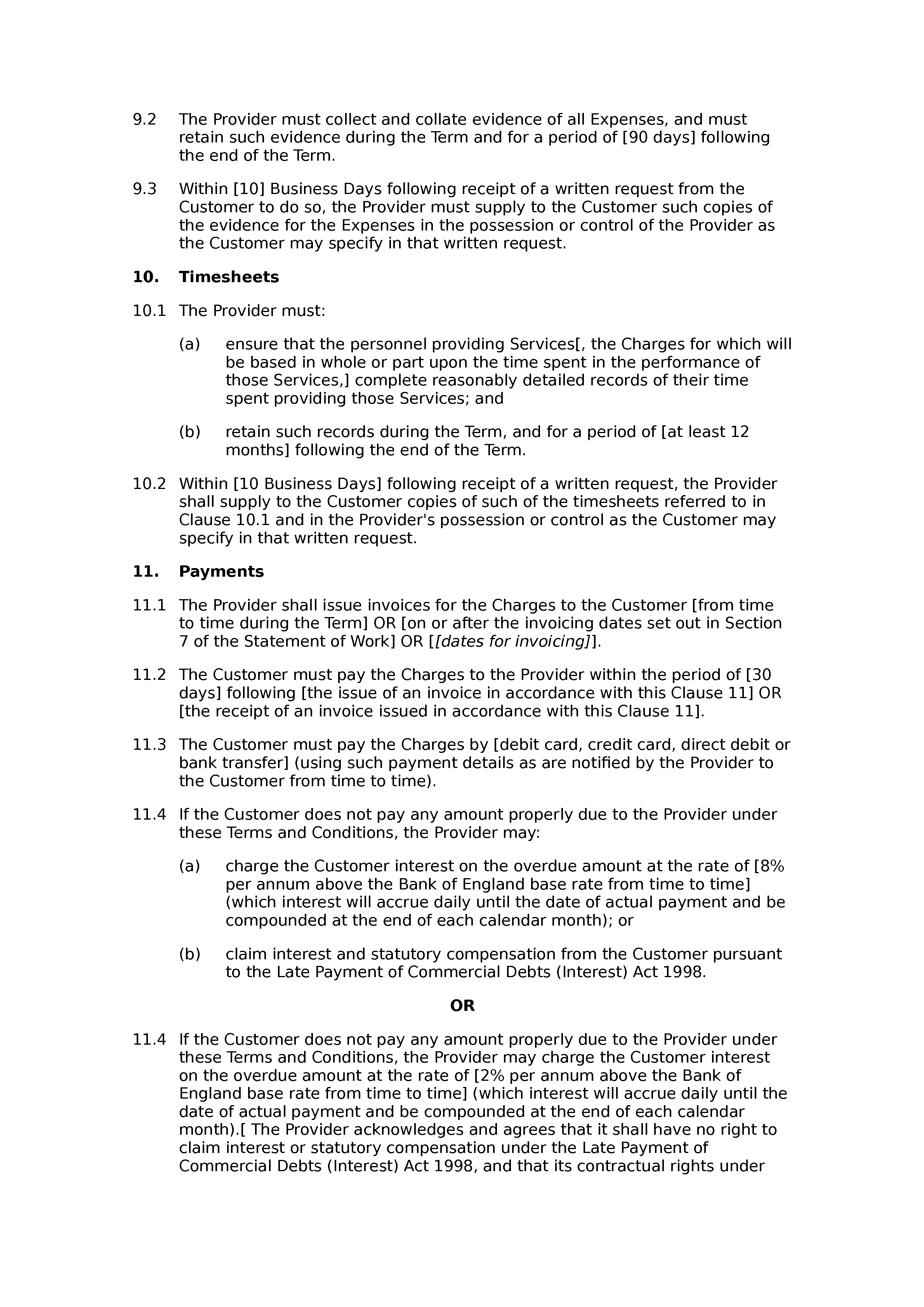 IT support terms and conditions (standard) document preview