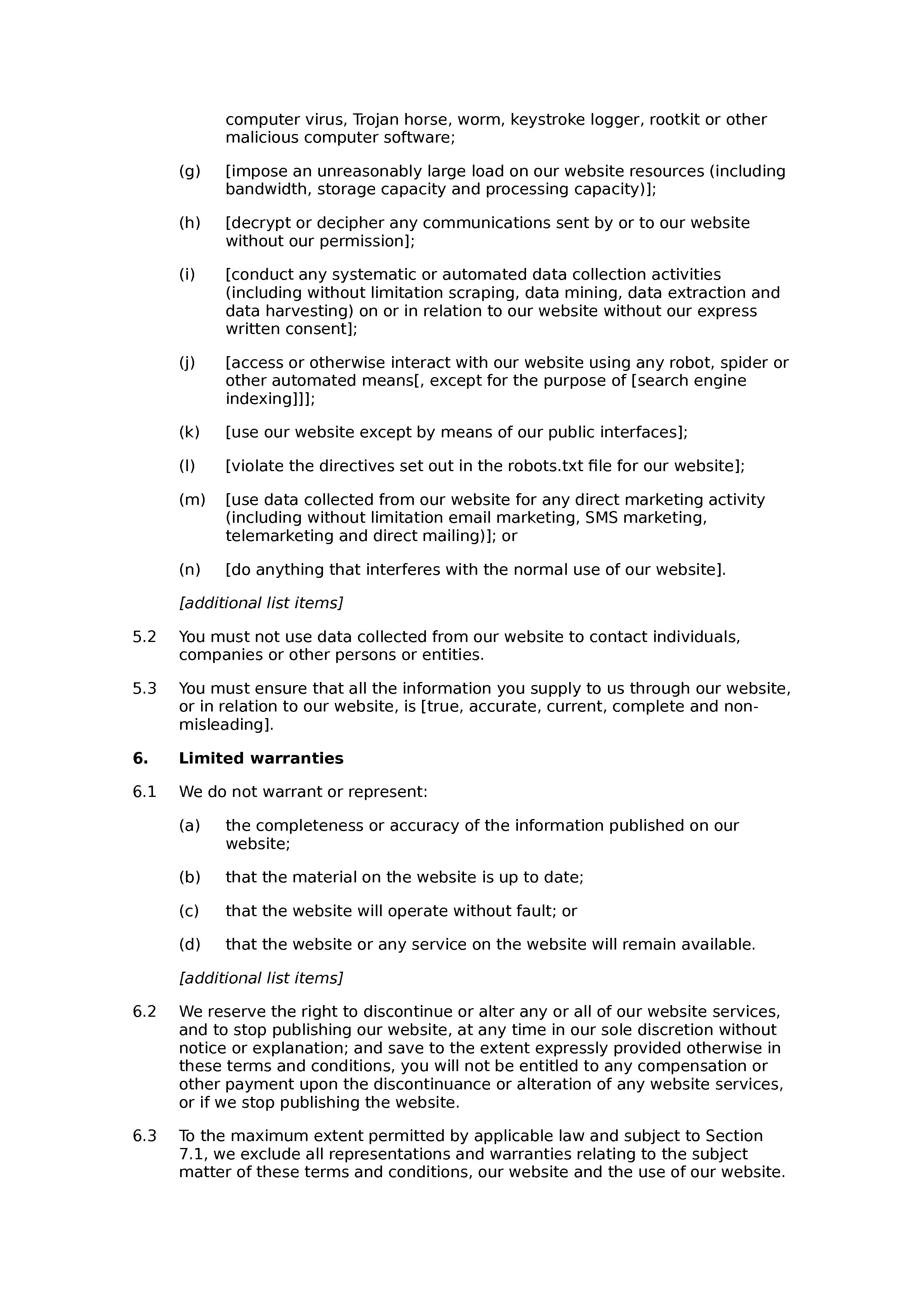 Informational website terms and conditions document preview