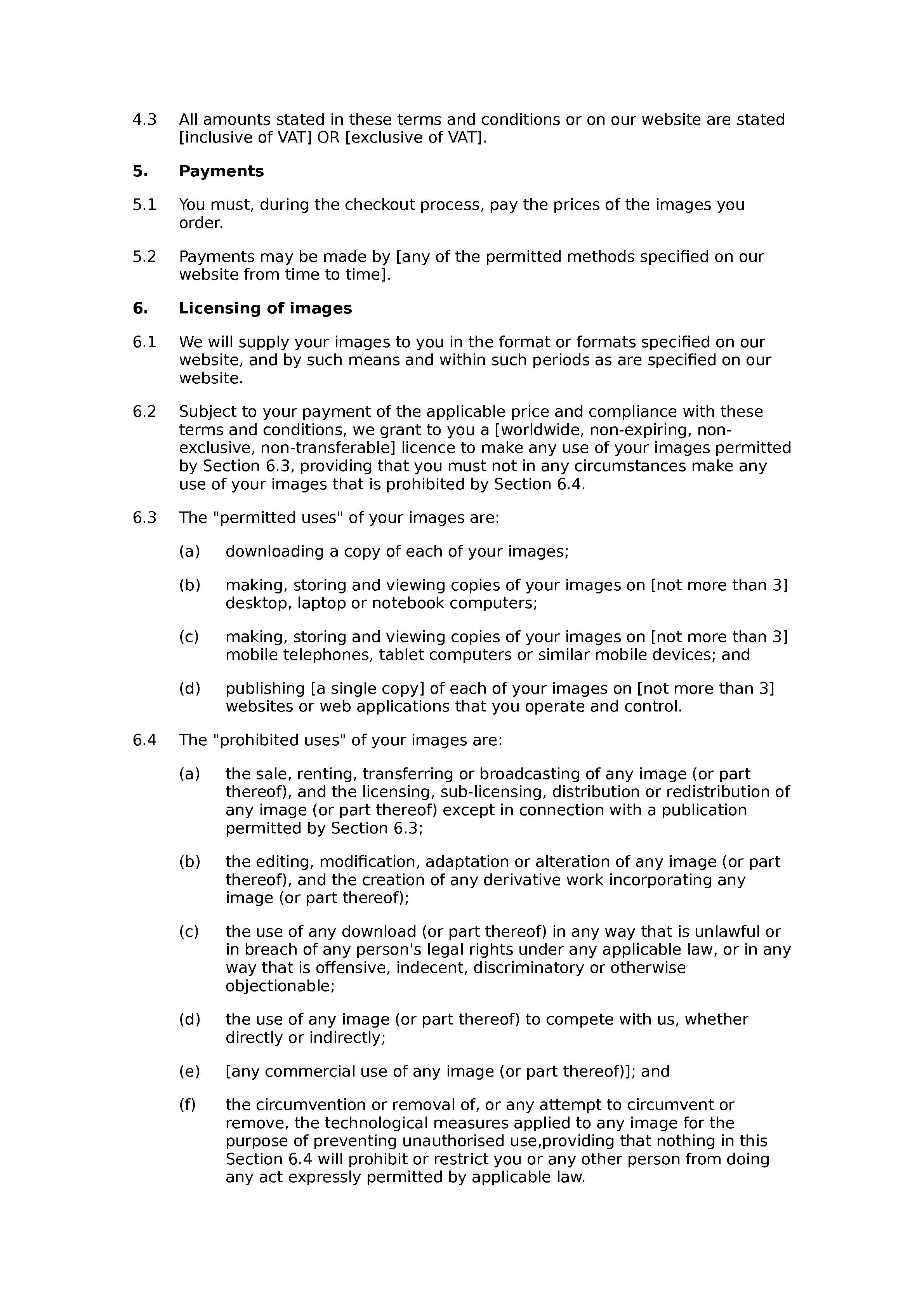 Image download terms and conditions document preview