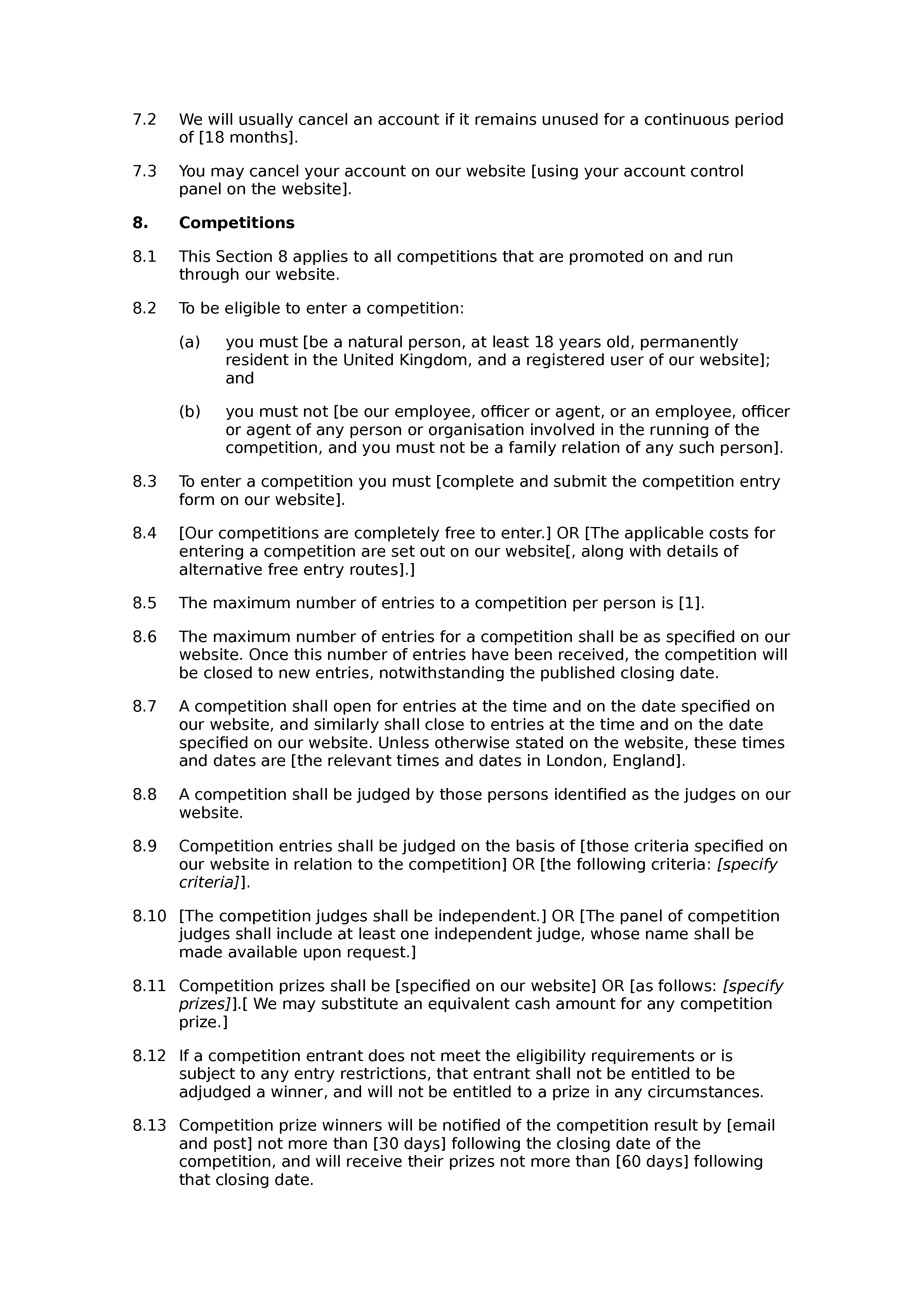 Competition website terms and conditions document preview