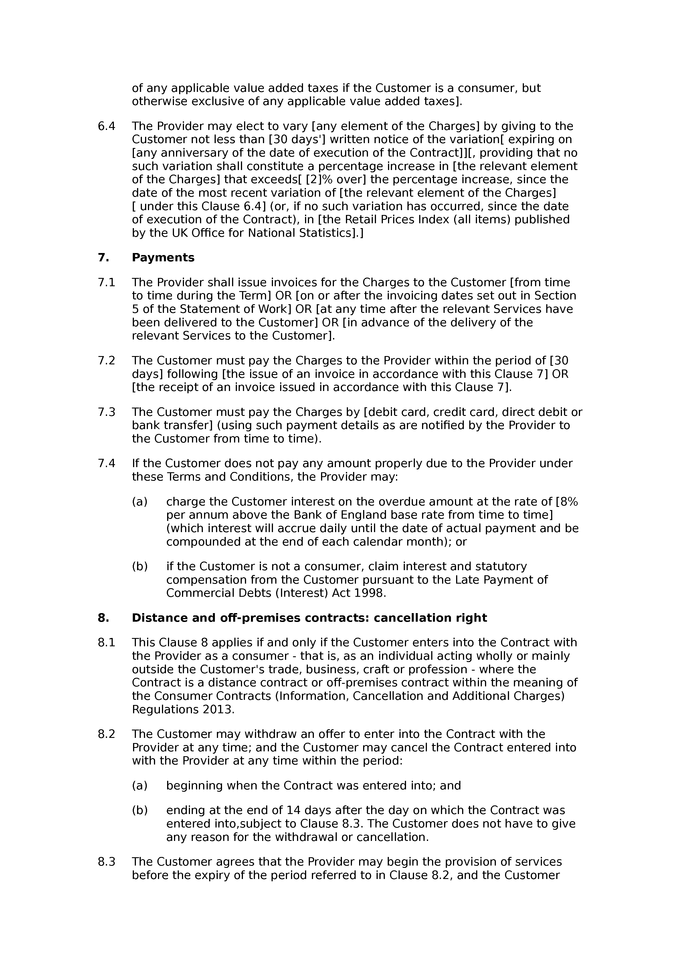 Simple cleaning terms and conditions document preview