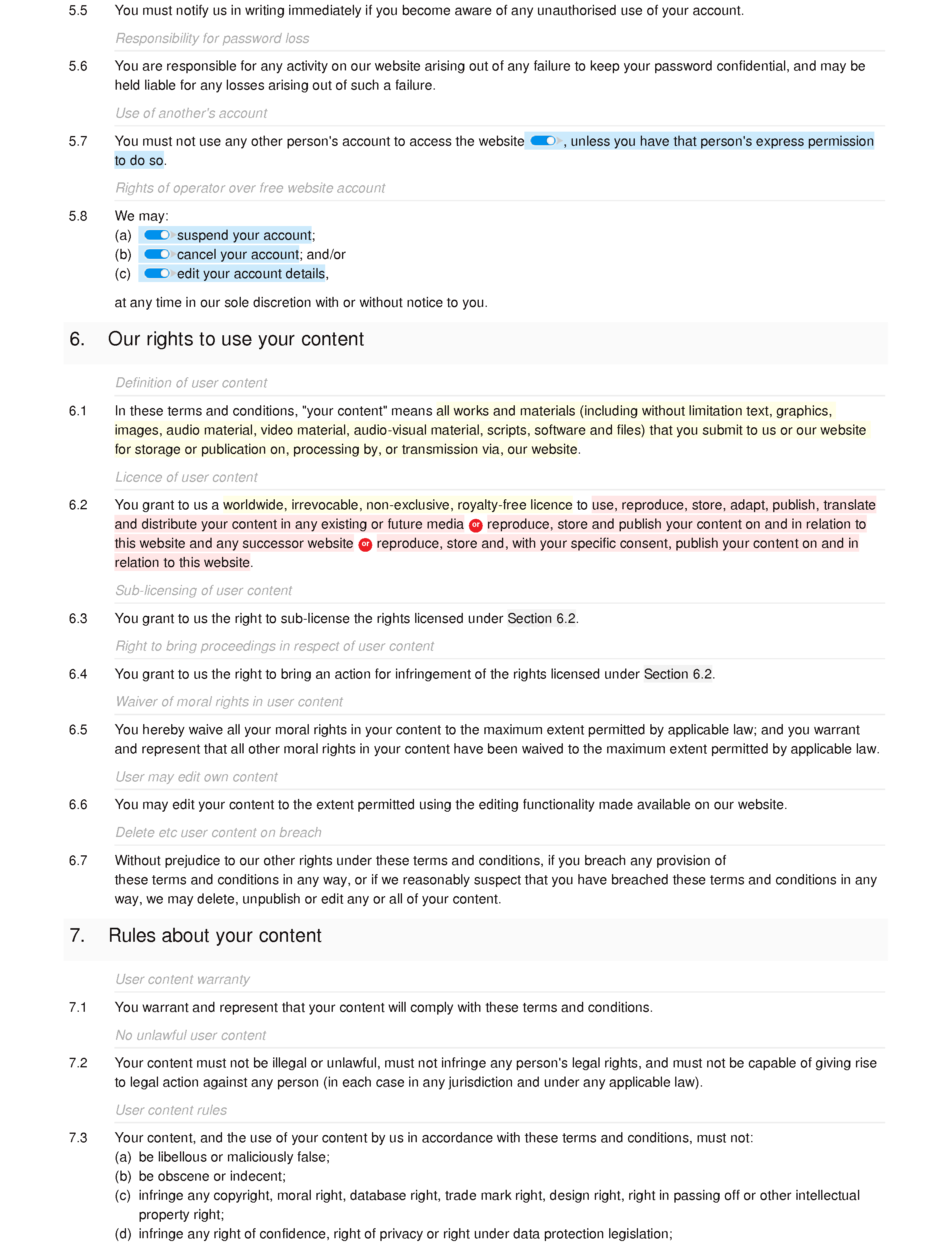 Club website terms and conditions document editor preview