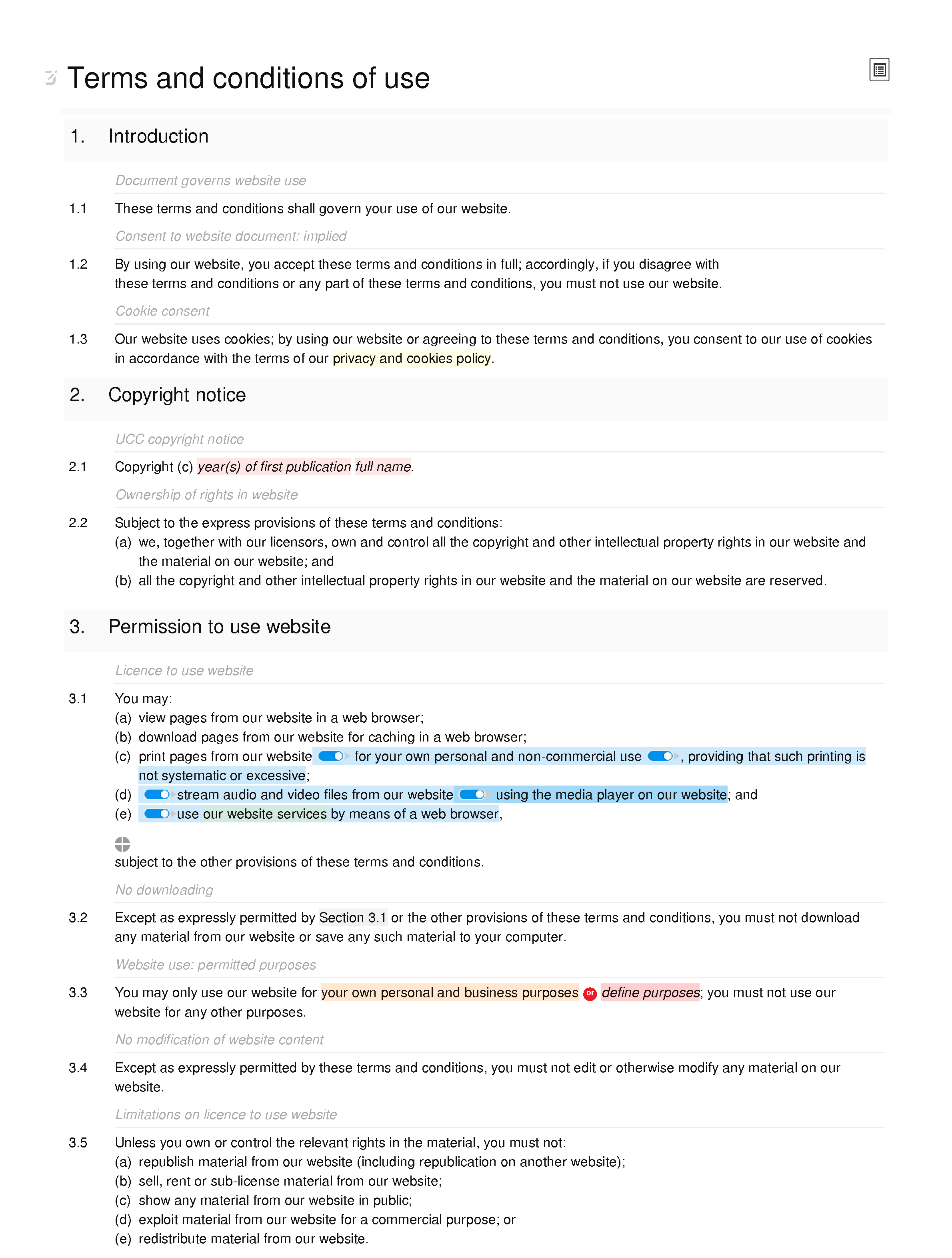 Informational website terms and conditions document editor preview