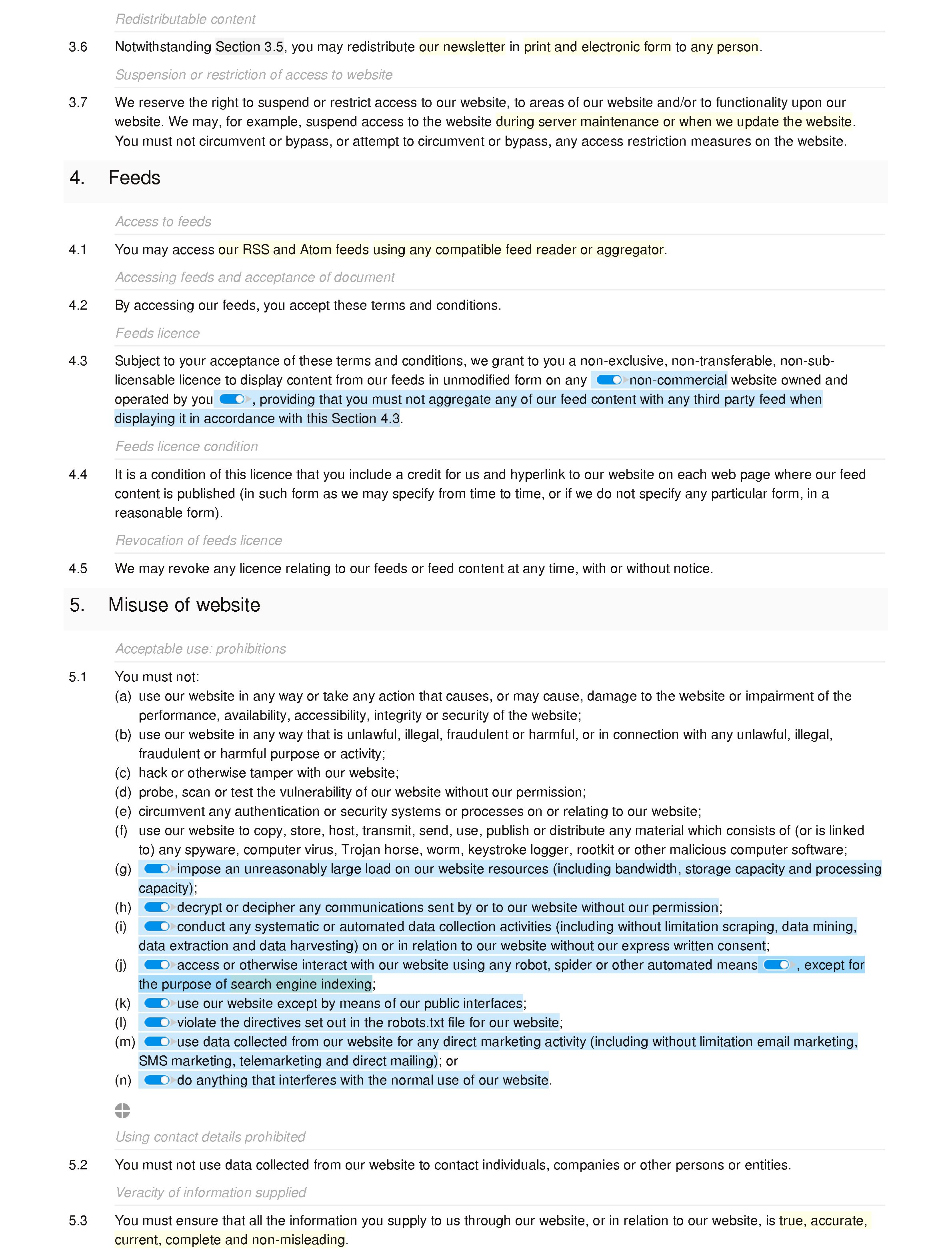 Informational website terms and conditions document editor preview