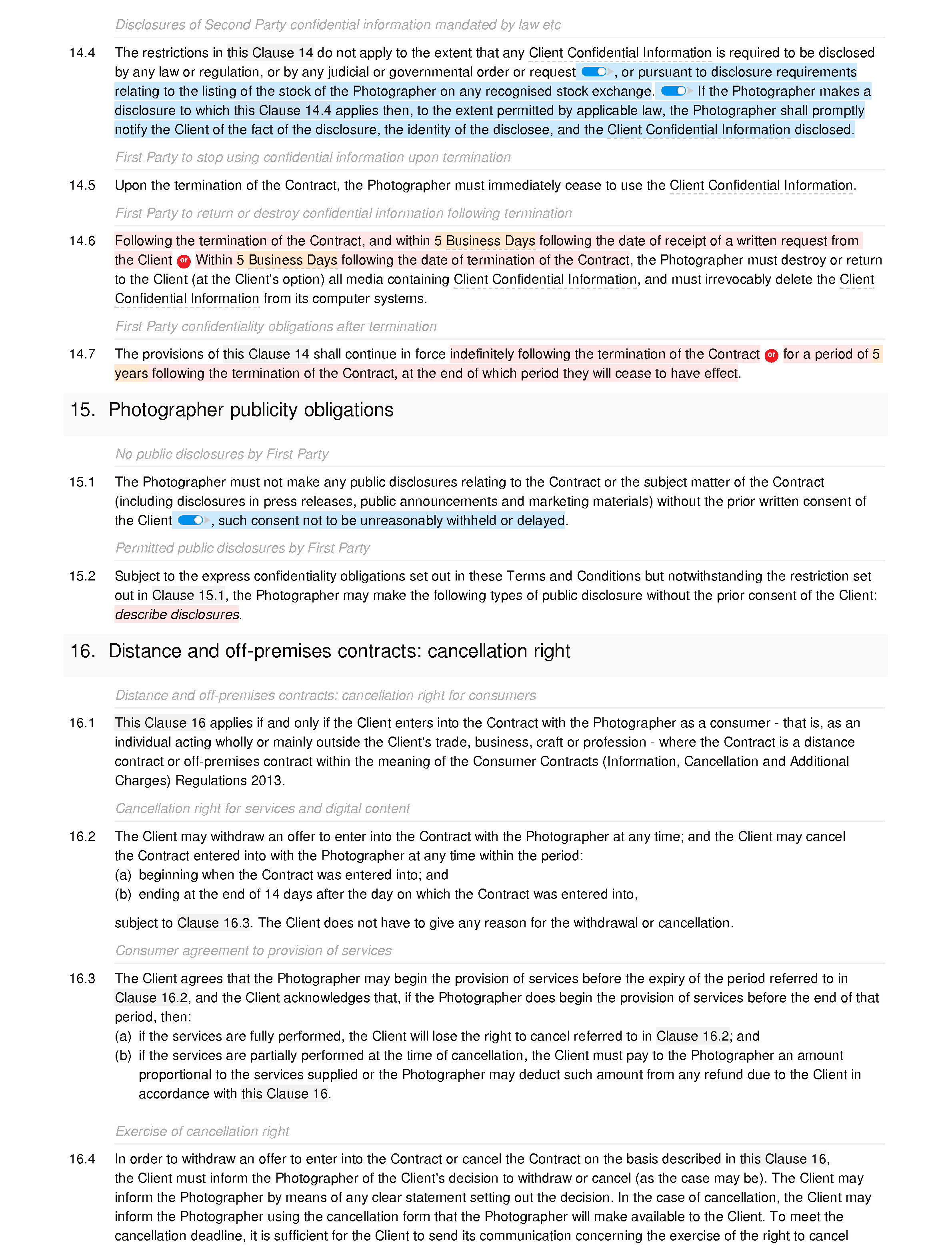 Wedding photography terms and conditions document editor preview