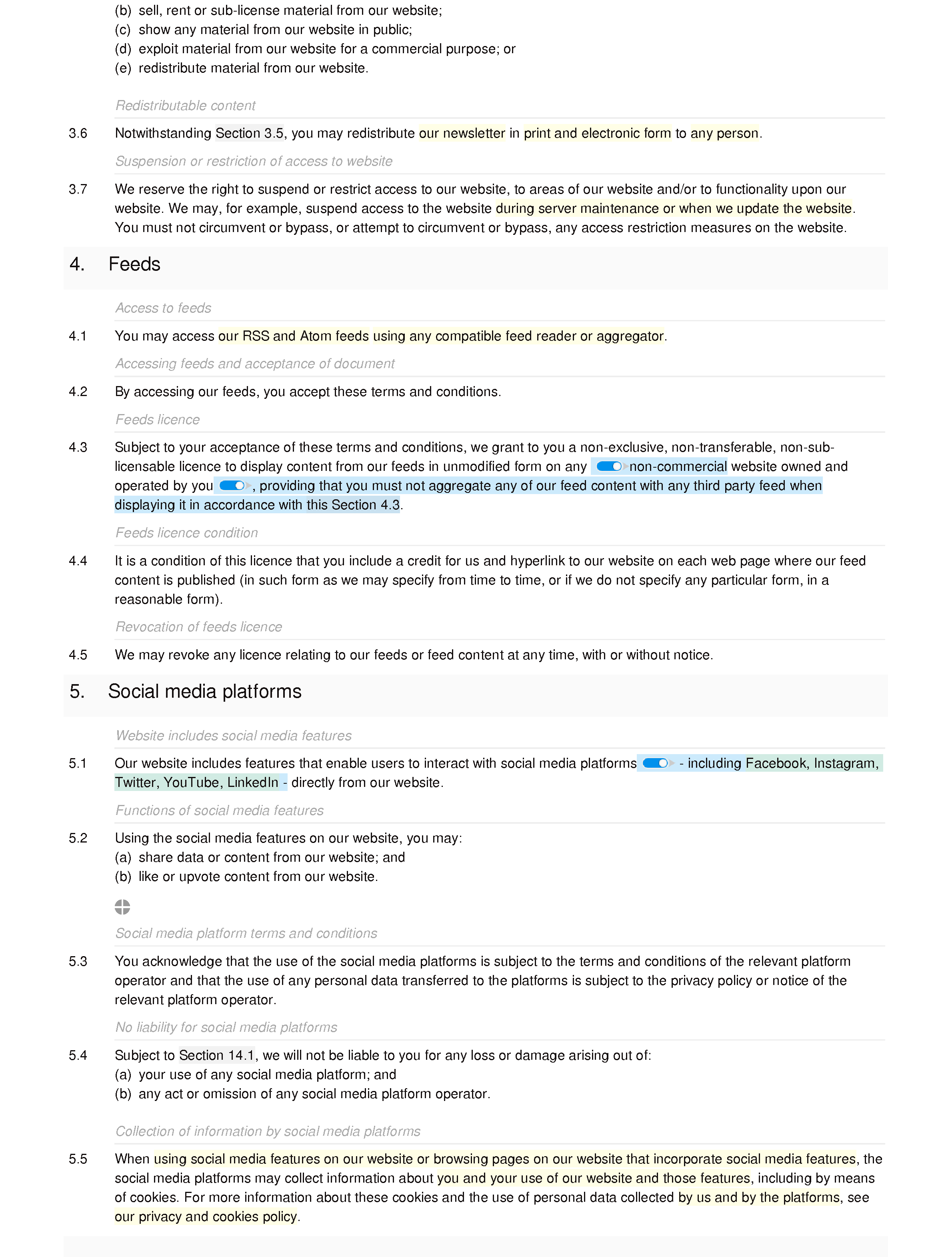 Website terms and conditions (premium) document editor preview