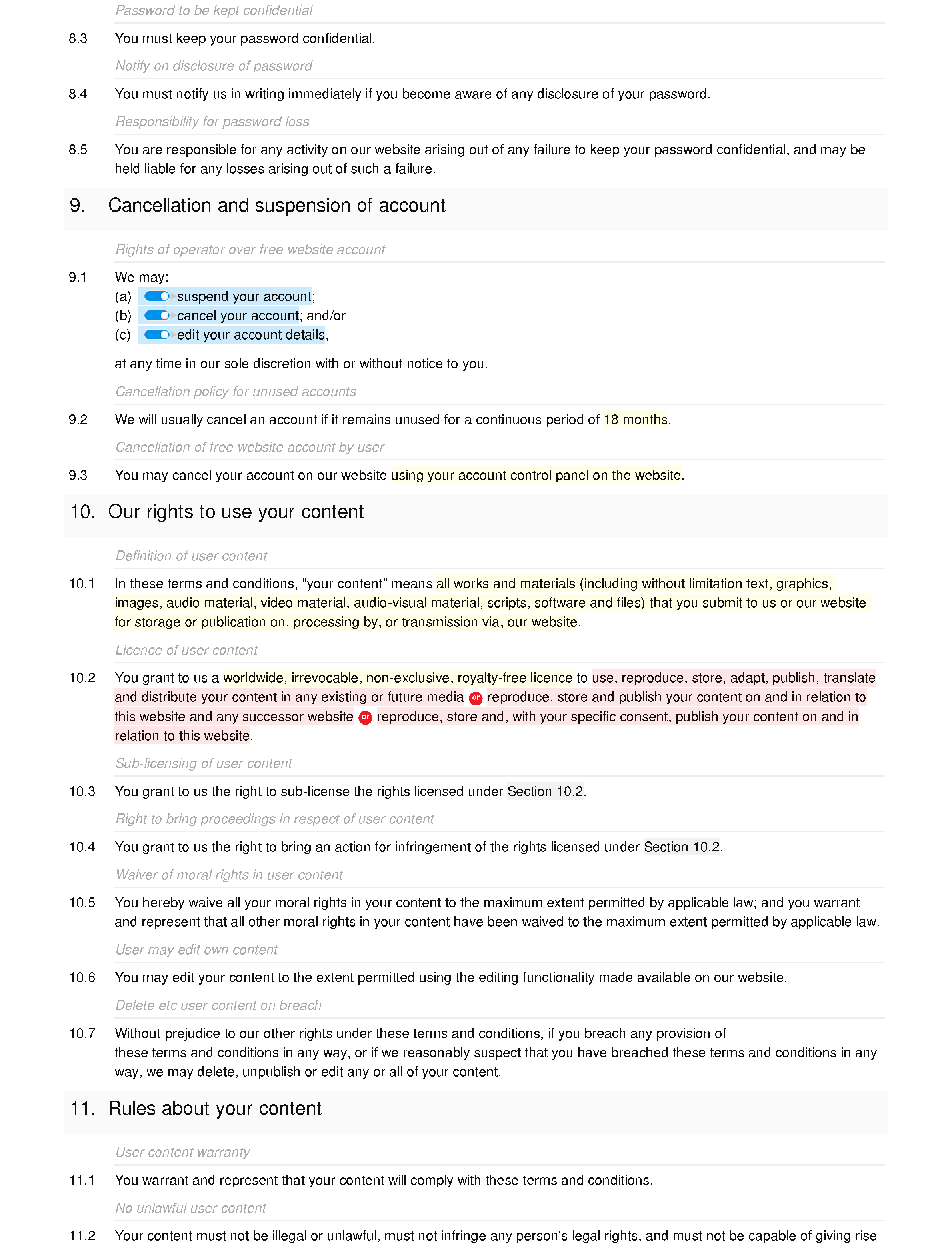 Website terms and conditions (premium) document editor preview